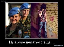 д2.jpg