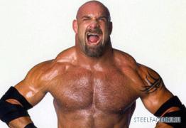 goldberg_crop_340x234.jpg