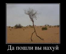 x_3195778c.jpg
