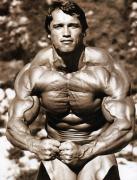 Arnold Schwarzenegger-MUSCLEMAG-Mar 2012-Unk-192.jpg