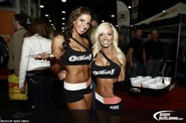 img_64671330723261.jpg