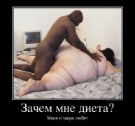 y_7814115e.jpg