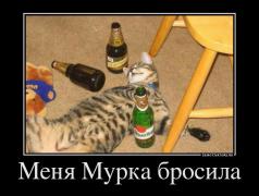 1331534235_demotivztors_27.jpg