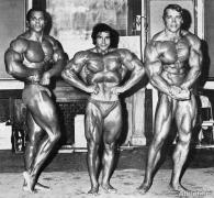 franco_columbu_070.jpg