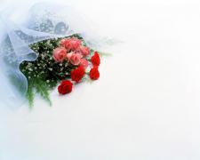 cvety_lyubvi-1280x1024.jpg