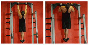 chins-300x151.gif