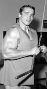 778239arnold106.jpg
