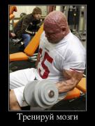 72823271_treniruj_mozgi.jpg
