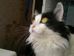 2013-03-10-198.jpg