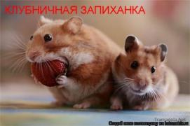 4xUjvaKFk-w.jpg