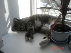 DSC02772.JPG