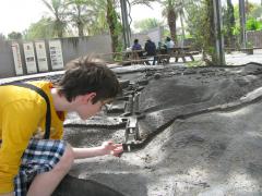 IMG_9011.JPG