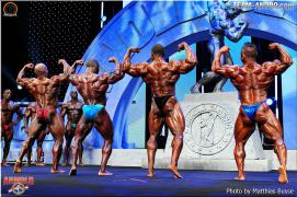 DSC_0354_ergebnis~2.jpg