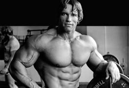 ArnoldSchwarzenegger-MM-Mar2013-Unk-111.jpg