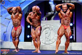 DSC_0416_ergebnis~0.jpg