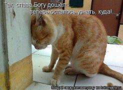 дошел.jpg
