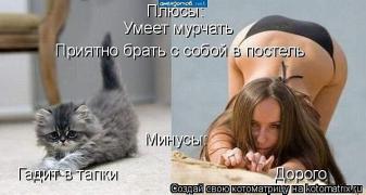 мур.jpg