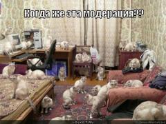 kogda-zhe-eta-moderatsiya_1340945561.jpg