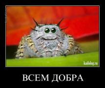 1360653956_048.jpg