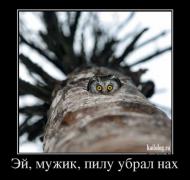 1364268039_017.jpg