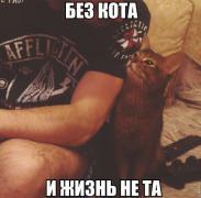 yumora-nemnogo-kartinki-smeshnye-kartinki-fotoprikoly_7538296385.jpg