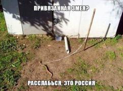 yumora-nemnogo-kartinki-smeshnye-kartinki-fotoprikoly_1767100376.jpg