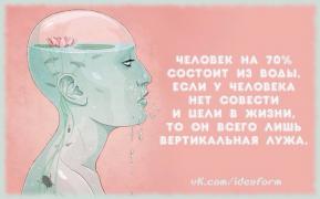 890077_original.jpg
