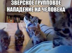 yumora-nemnogo-kartinki-smeshnye-kartinki-fotoprikoly_4729328113.jpg