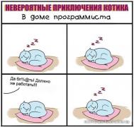 d6eb5bf96d228904bbef2d9352171785.jpg