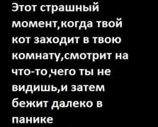 yumora-nemnogo-kartinki-smeshnye-kartinki-fotoprikoly_3958617098.jpg