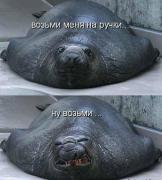 yumora-nemnogo-kartinki-smeshnye-kartinki-fotoprikoly_1458797657.jpg
