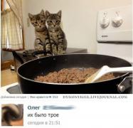 setey-socialnyh-kommentarii-citaty-vkontakte-vkontakte-smeshnye-statusy_2717903440.jpg