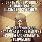 779868_original.jpg