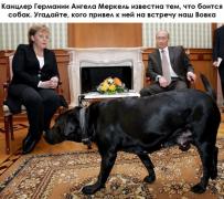 yumora-nemnogo-kartinki-smeshnye-kartinki-fotoprikoly_29100873682.jpg