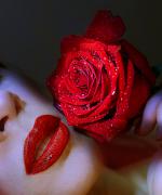NIC_1032-1.jpg