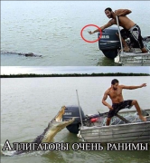 Снимок экрана 2014-03-16 в 18.25.39.png