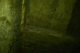 1394720637_1355334494.gif
