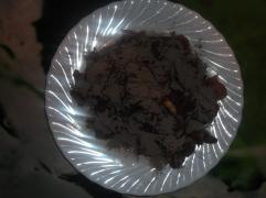 DSCF6633.JPG