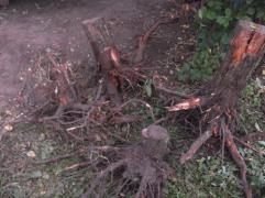 DSCF4033.JPG