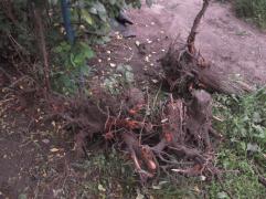 DSCF4032.JPG