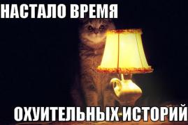 НВОИ.jpeg