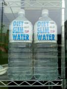 Diet-Water.jpg
