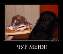 d0bd33ca8efb4c28784d4abdff684fd3.jpg