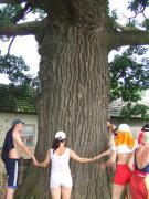 Новое изображениенпш.JPG