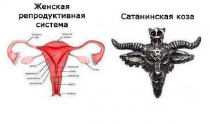 МАТКО.jpeg
