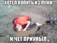 1-6.jpg