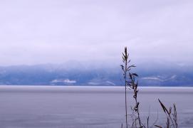 DSC05820.jpg