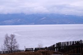 DSC05778.jpg