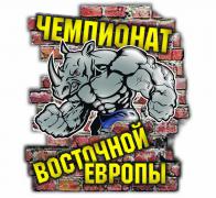 Окончательный вариант магнита.jpg