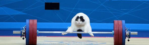 img_41458.jpeg